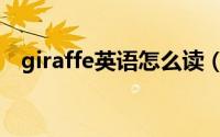 giraffe英语怎么读（giraffe是什么意思）