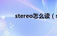 stereo怎么读（stereo什么意思）