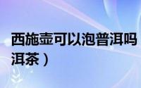 西施壶可以泡普洱吗（西施壶适不适合冲泡普洱茶）