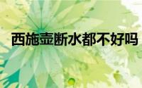 西施壶断水都不好吗（西施壶断水好不好）