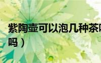 紫陶壶可以泡几种茶吗（紫砂壶能泡多种茶叶吗）