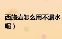 西施壶怎么用不漏水（西施壶如何使用不漏水呢）