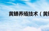 黄鳝养殖技术（黄鳝养殖技术是什么）