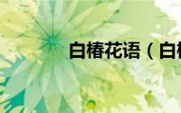 白椿花语（白椿花语是什么）