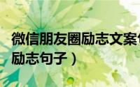 微信朋友圈励志文案句子（唯美精致的朋友圈励志句子）