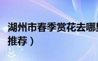 湖州市春季赏花去哪里（湖州市春季赏花景点推荐）