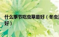 什么季节吃虫草最好（冬虫夏草在一年四季中什么时候吃最好）