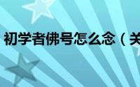 初学者佛号怎么念（关于初学者佛号的念法）