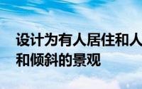 设计为有人居住和人性化的洞穴 有松树植被和倾斜的景观