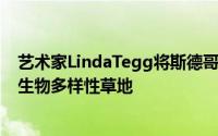 艺术家LindaTegg将斯德哥尔摩的停车场改造成ArkDes的生物多样性草地