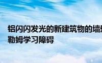 铝闪闪发光的新建筑物的墙壁的组合在这个学校为孩子在哈勒姆学习障碍