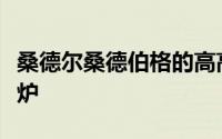 桑德尔桑德伯格的高高瑞典房子带有混凝土壁炉