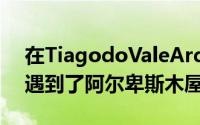 在TiagodoValeArquitectos的翻新工程中遇到了阿尔卑斯木屋