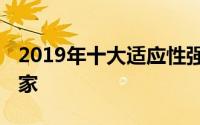 2019年十大适应性强 艺术感强的时尚产品赢家