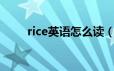 rice英语怎么读（单词rice怎么读）