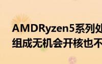 AMDRyzen5系列处理器同为两个CCX单元组成无机会开核也不鼓励