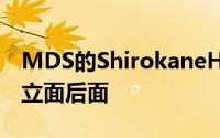 MDS的ShirokaneHouse隐藏在无窗混凝土立面后面