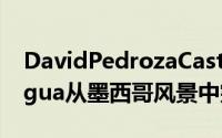 DavidPedrozaCastañeda创作的CasaNarigua从墨西哥风景中突围而出