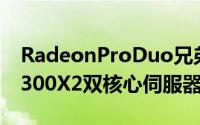 RadeonProDuo兄弟?AMD发表FireProS9300X2双核心伺服器卡