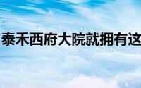 泰禾西府大院就拥有这种令人震撼的实景园林