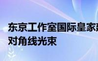 东京工作室国际皇家建筑事务所组合了弯曲和对角线光束