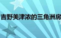 吉野美津浓的三角洲房屋围绕一个三角形庭院