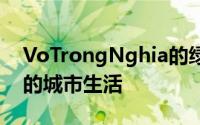 VoTrongNghia的绿色翻新工程提供了翠绿的城市生活