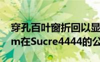 穿孔百叶窗折回以显示EstebanTannenbaum在Sucre4444的公寓