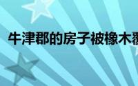 牛津郡的房子被橡木覆盖以创建简化的体积