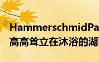 HammerschmidPachlSeebacher的黑房子高高耸立在沐浴的湖面之上