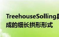 TreehouseSolling具有由云杉和钢制支柱制成的细长拱形形式