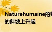 Naturehumaine的魁北克住宅从混凝土裙楼的斜坡上升起