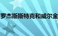 罗杰斯斯特克和威尔金森艾尔进行悉尼港大修