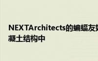 NEXTArchitects的蝙蝠友好型桥梁将冬季栖息地嵌入其混凝土结构中