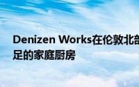 Denizen Works在伦敦北部的房屋扩建创造了一个光线充足的家庭厨房