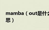 mamba（out是什么意思 mambaout的意思）