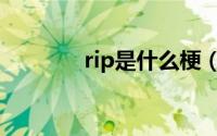 rip是什么梗（rip意思解释）