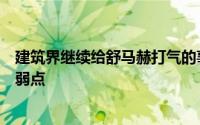 建筑界继续给舒马赫打气的事实揭示了我们专业的智力上的弱点