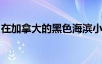 在加拿大的黑色海滨小屋包含宽敞的白色内饰