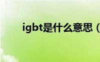 igbt是什么意思（igbt的意思介绍）