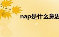 nap是什么意思（nap的含义）