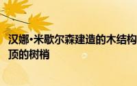 汉娜·米歇尔森建造的木结构小屋直立在高跷之上窥视瑞典山顶的树梢