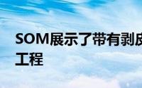 SOM展示了带有剥皮的建筑模型以揭示底层工程