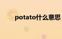 potato什么意思（potato的含义）