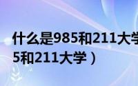 什么是985和211大学是什么意思（什么是985和211大学）