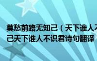 莫愁前路无知己（天下谁人不识君的意思作者 莫愁前路无知己天下谁人不识君诗句翻译）