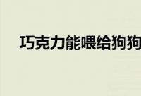 巧克力能喂给狗狗吃吗（狗狗能吃糖吗）