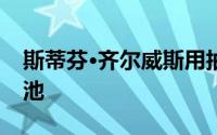 斯蒂芬·齐尔威斯用抽象的航拍照片展示游泳池