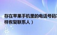 存在苹果手机里的电话号码怎么突然全没有了（苹果手机怎样恢复联系人）