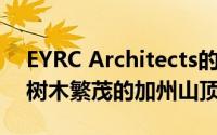 EYRC Architects的Spring Road房子沿着树木繁茂的加州山顶走下去